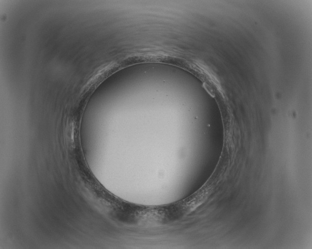 X0000083010115200702161601