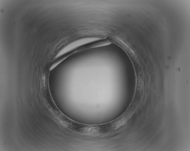 X0000083010117200702161601