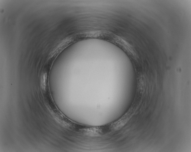 X0000083010118200702161601