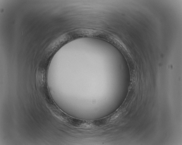 X0000083010119200702161601