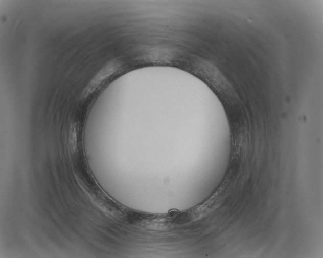 X0000083010120200702161601