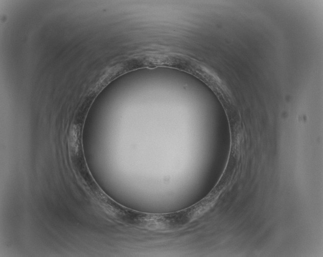 X0000083010121200702161601