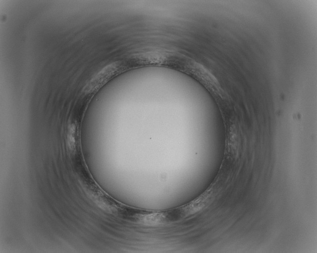 X0000083010122200702161601