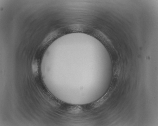 X0000083010124200702161601