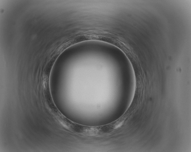 X0000083010125200702161601