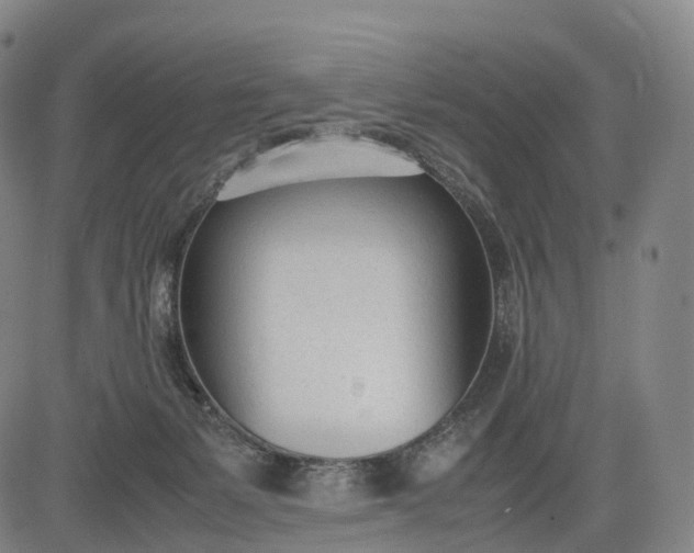 X0000083010127200702161601