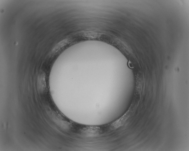 X0000083010128200702161601