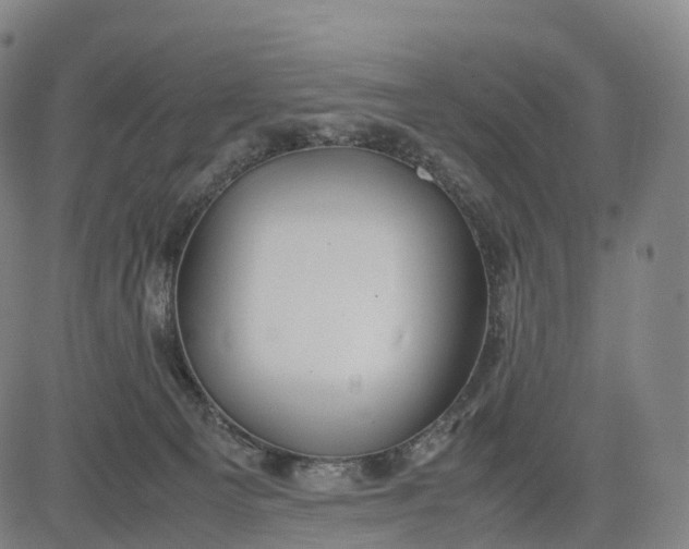 X0000083010129200702161601