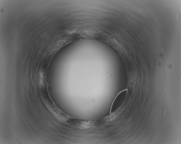 X0000083010130200702161601