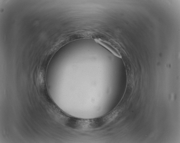 X0000083010131200702161601