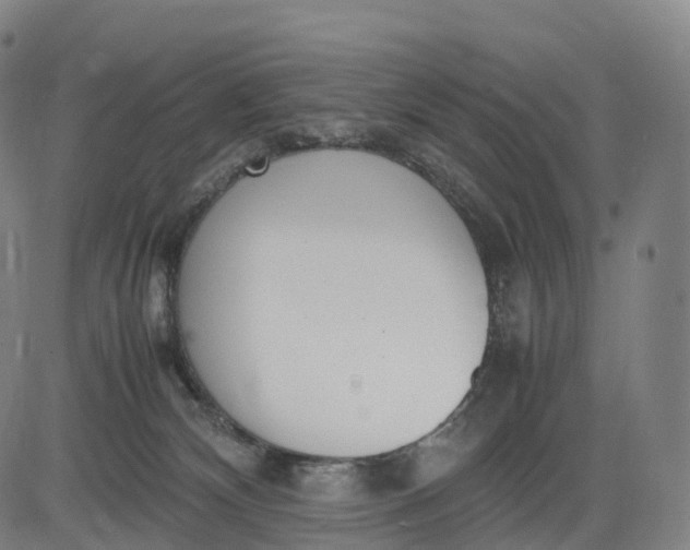 X0000083010132200702161601