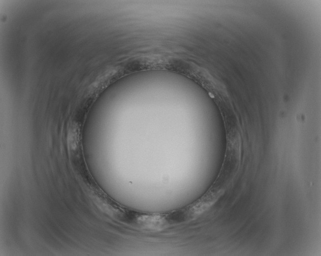 X0000083010133200702161601