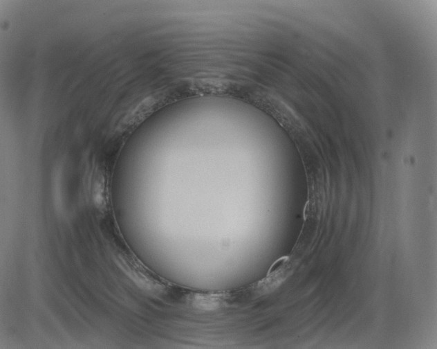 X0000083010134200702161601