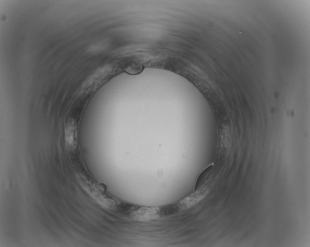 X0000083010138200702161600