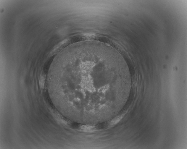 X0000083010139200702161600