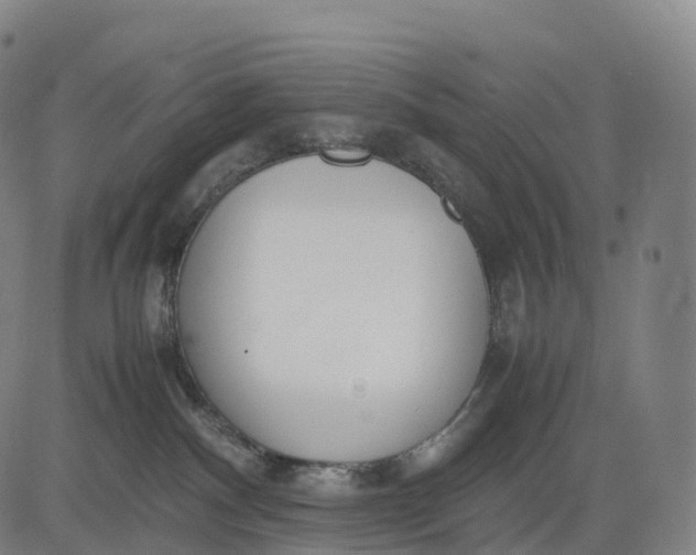 X0000083010140200702161600