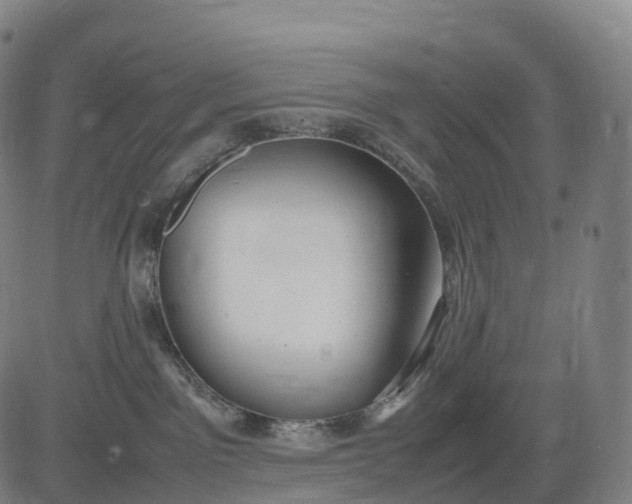 X0000083010141200702161600