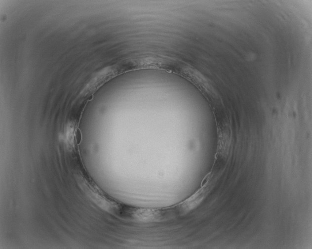 X0000083010142200702161600