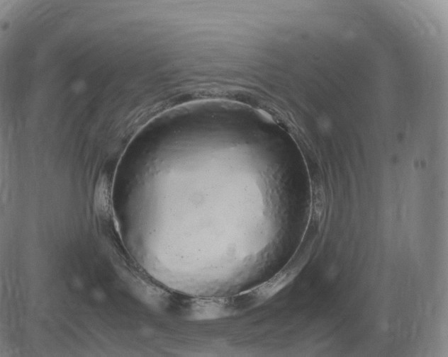 X0000083010143200702161600