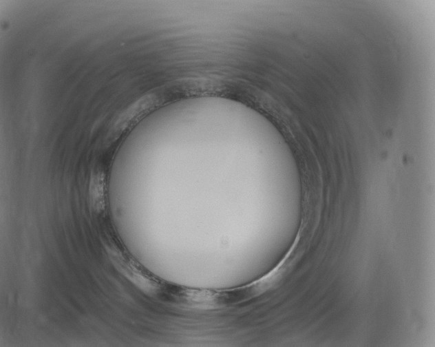 X0000083010144200702161600