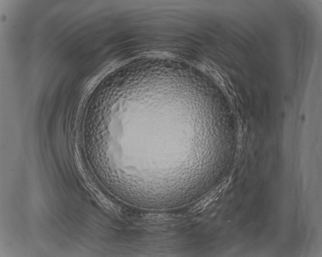 X0000083010145200702161600