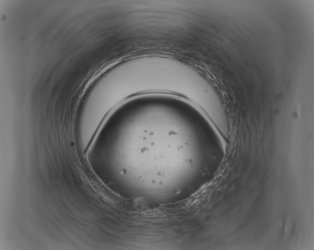 X0000083010146200702161600