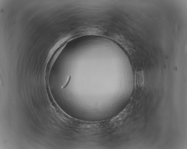 X0000083010147200702161600