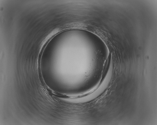 X0000083010148200702161600