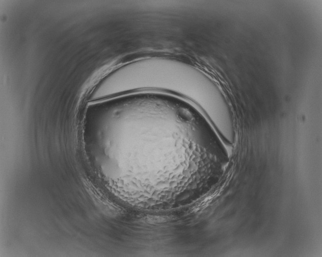 X0000083010149200702161600