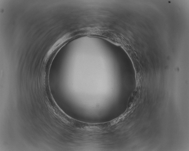 X0000083010150200702161600