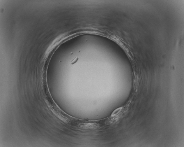 X0000083010151200702161600