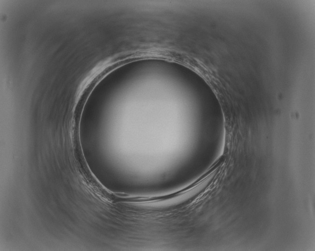 X0000083010152200702161600