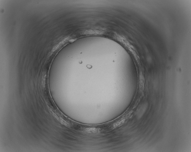 X0000083010153200702161600