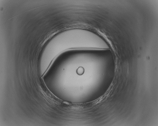 X0000083010154200702161600