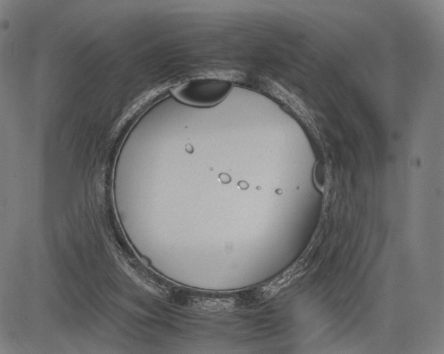 X0000083010155200702161600