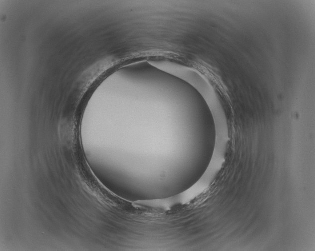 X0000083010156200702161600