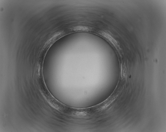 X0000083010157200702161600