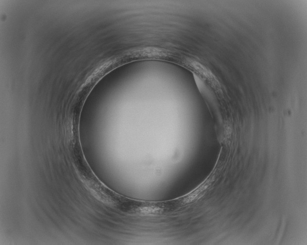 X0000083010158200702161600