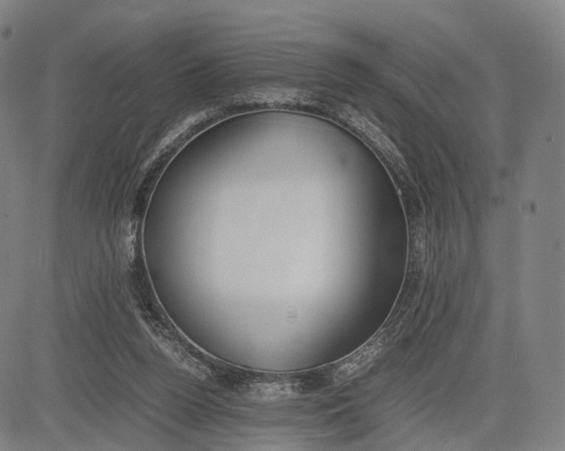 X0000083010160200702161600