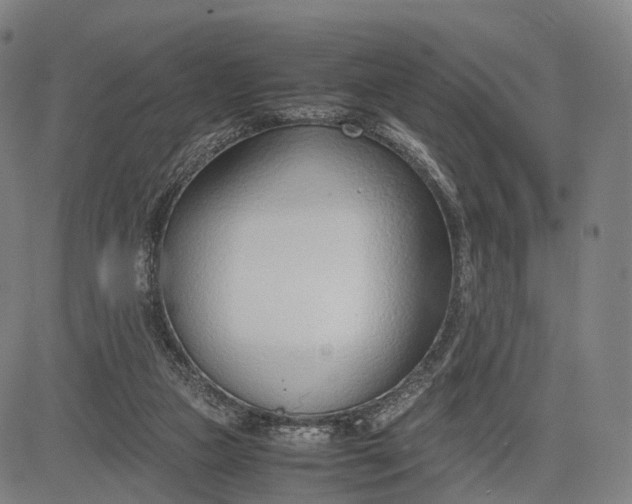 X0000083010161200702161600