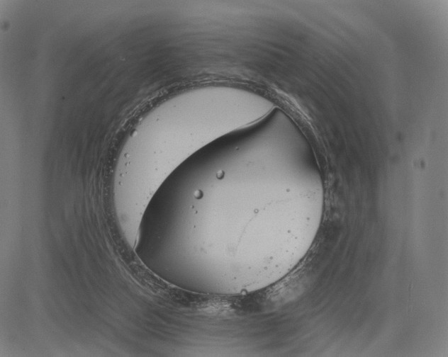 X0000083010162200702161600