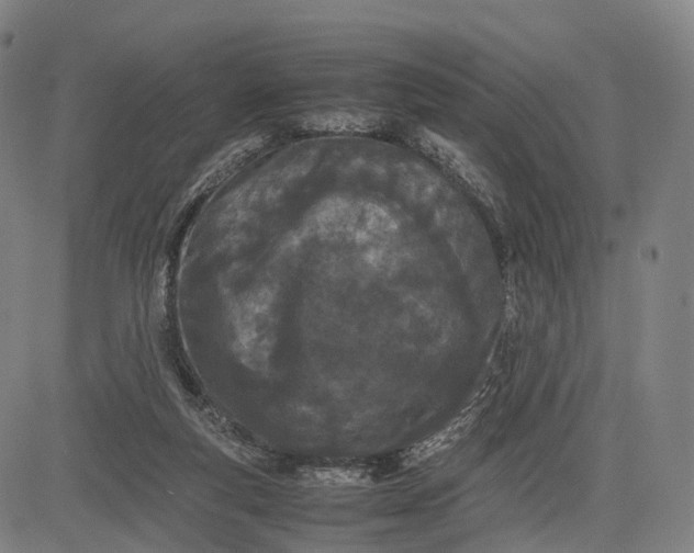 X0000083010163200702161600