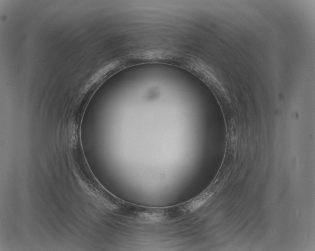 X0000083010164200702161600