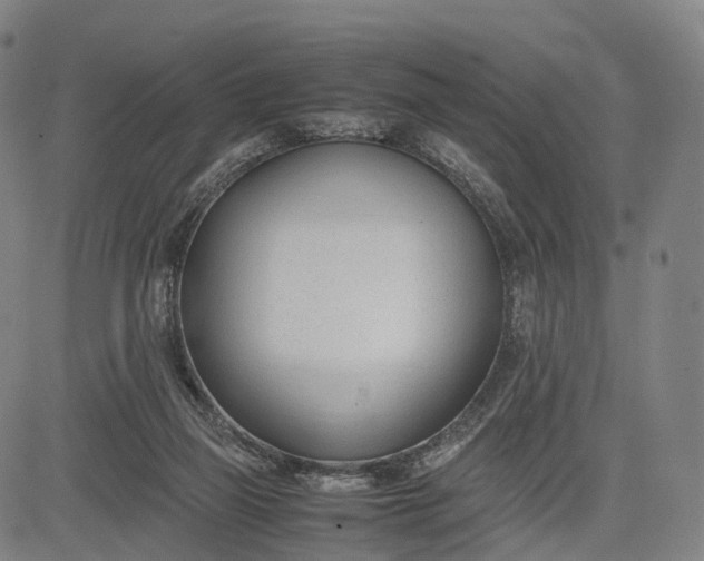 X0000083010165200702161600