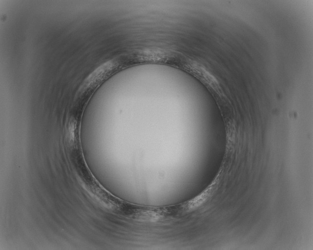 X0000083010166200702161600