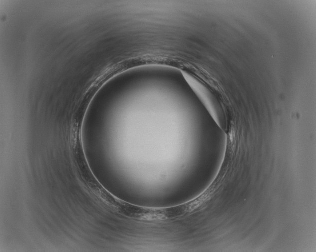 X0000083010168200702161600