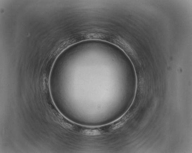 X0000083010169200702161600