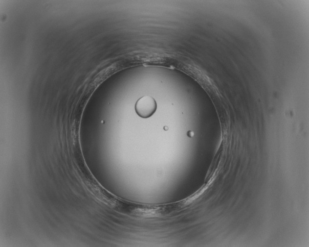 X0000083010170200702161600