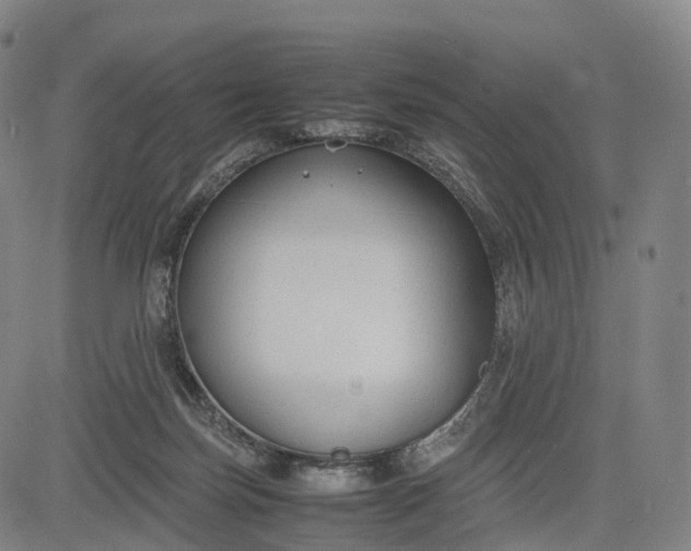 X0000083010171200702161600