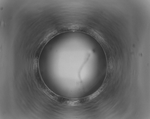 X0000083010172200702161600